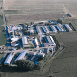 Farma Tištín